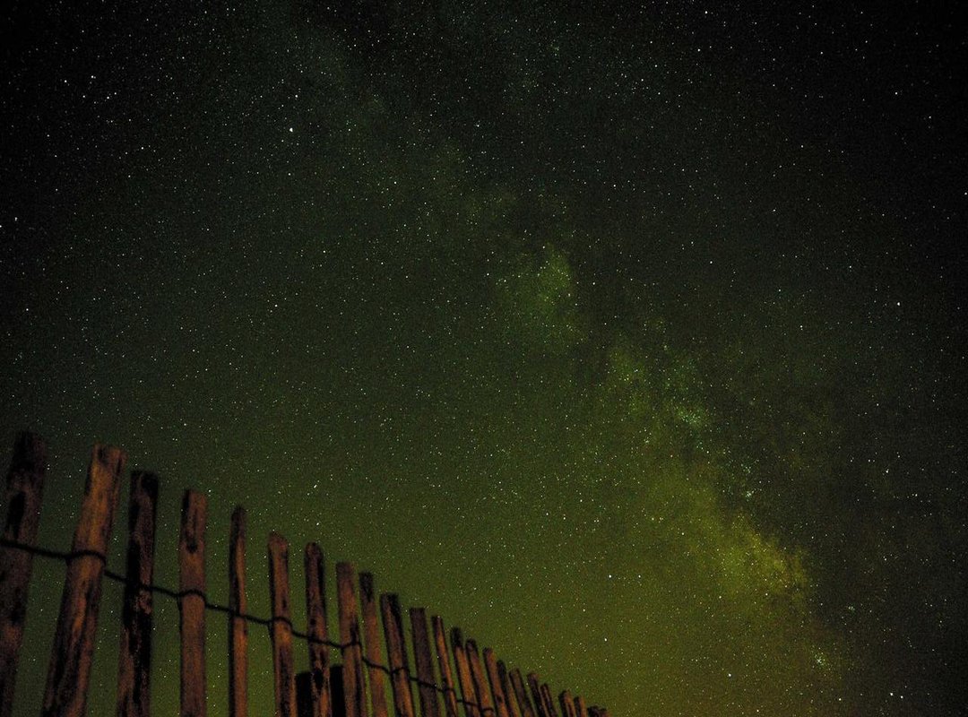 Free vs. Paid Downloads: Is a Premium Wallpaper Worth It?