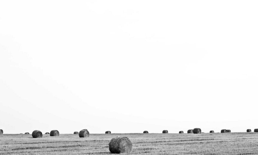 mobile geeks otvpmobile