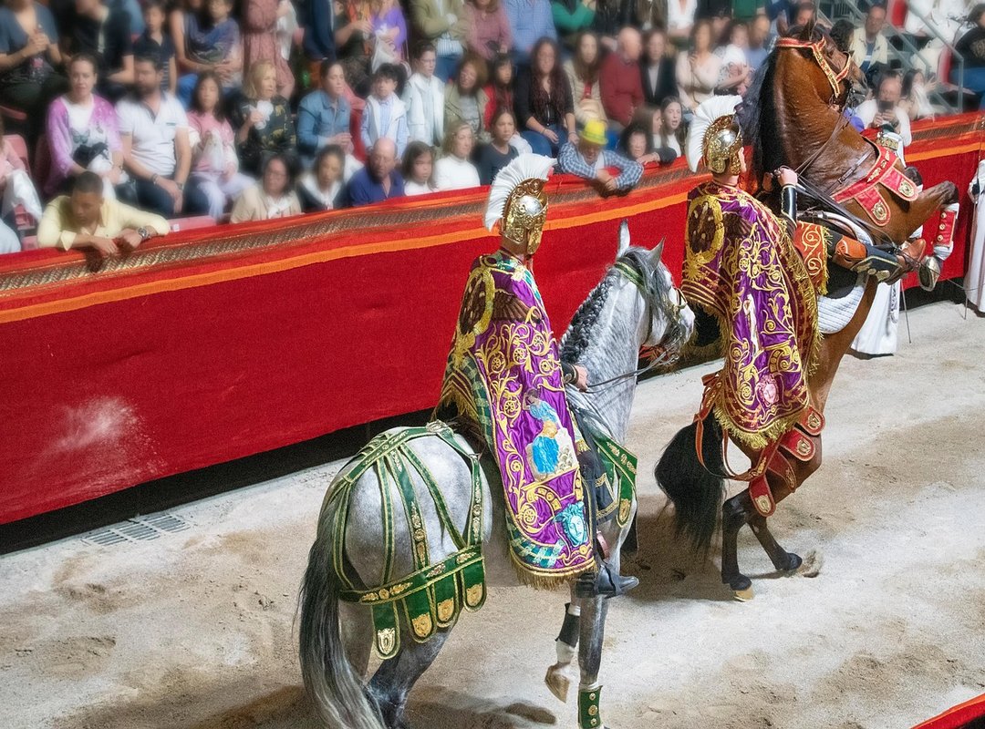 Representation in Modern Media and Pop Culture