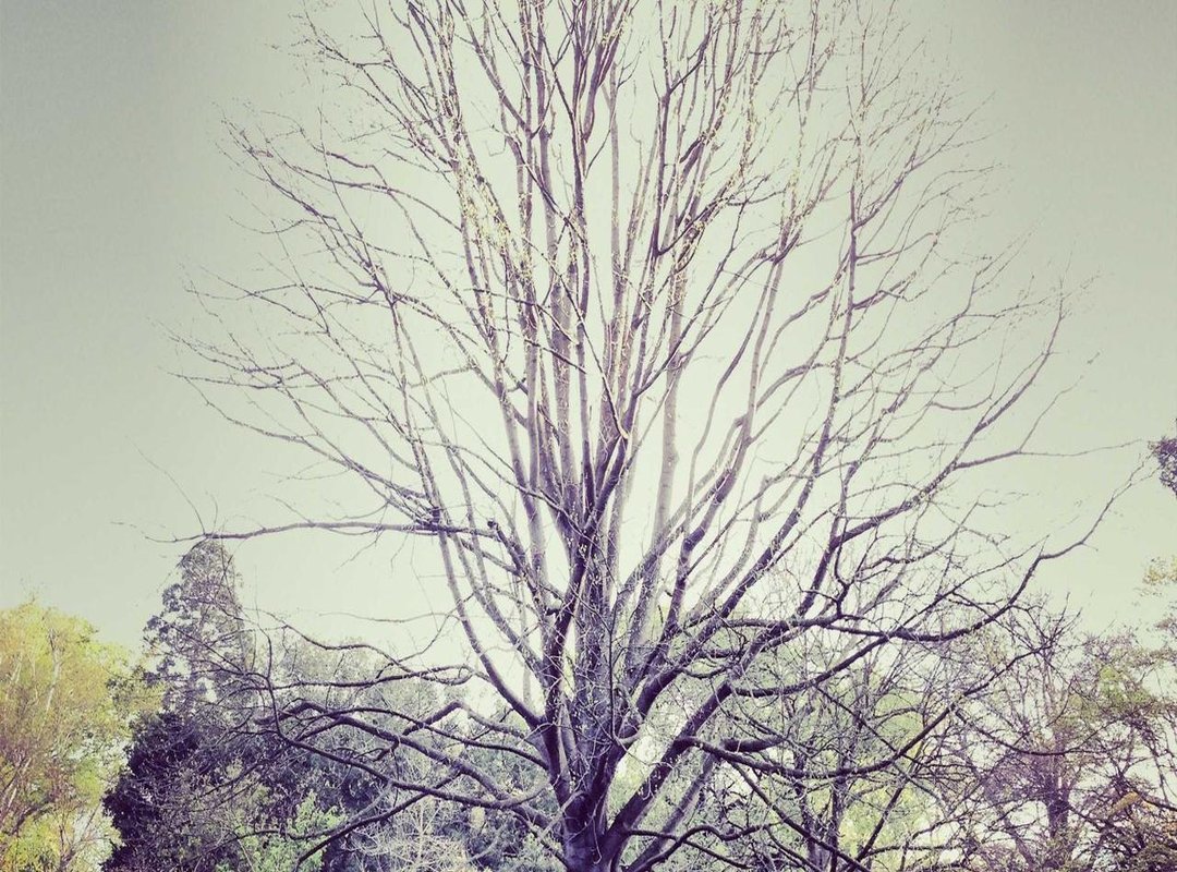 Getting Started: A Step-by-Step Guide